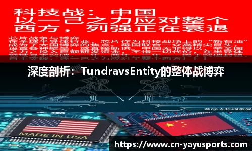 深度剖析：TundravsEntity的整体战博弈