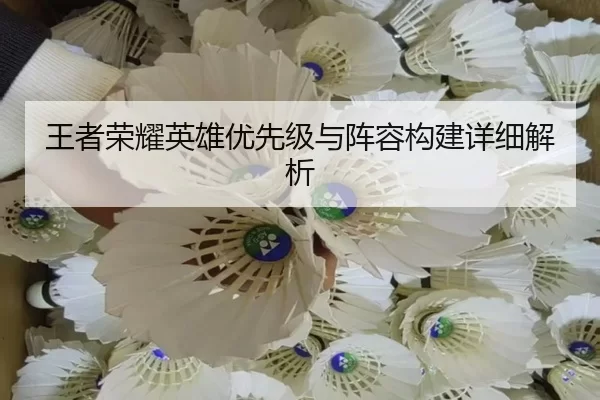 王者荣耀英雄优先级与阵容构建详细解析