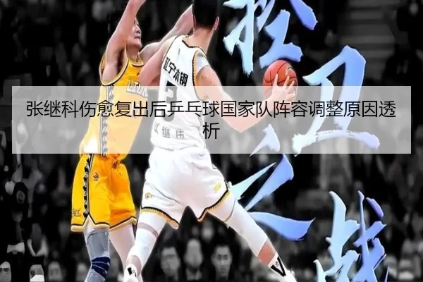 张继科伤愈复出后乒乓球国家队阵容调整原因透析
