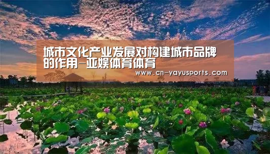 城市文化产业发展对构建城市品牌的作用-亚娱体育体育